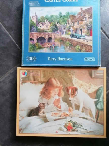 Photo of free 2 x 1000 piece jigsaw puzzles (Presteigne LD8) #1