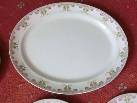 Photo of free 7 Dinner Plates and Serving Platter (North Ascot SL5) #1