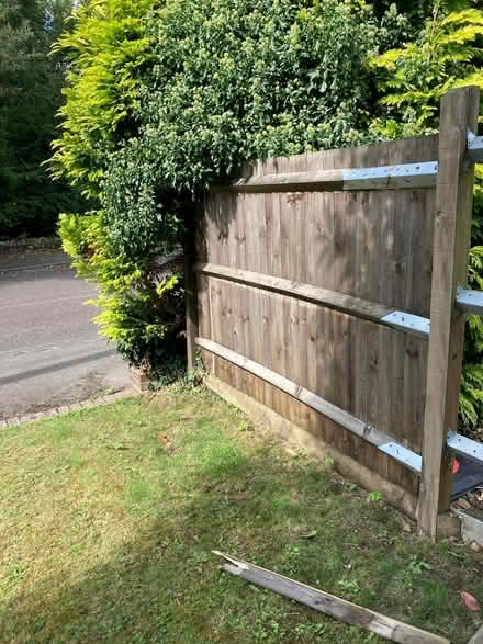 Photo of free Dismantling shiplap fencing (leybourne) #3