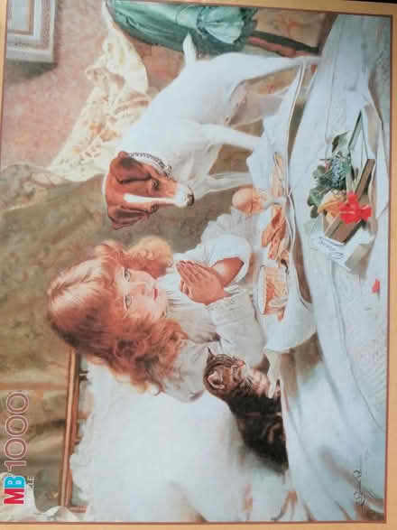 Photo of free 2 x 1000 piece jigsaw puzzles (Presteigne LD8) #2