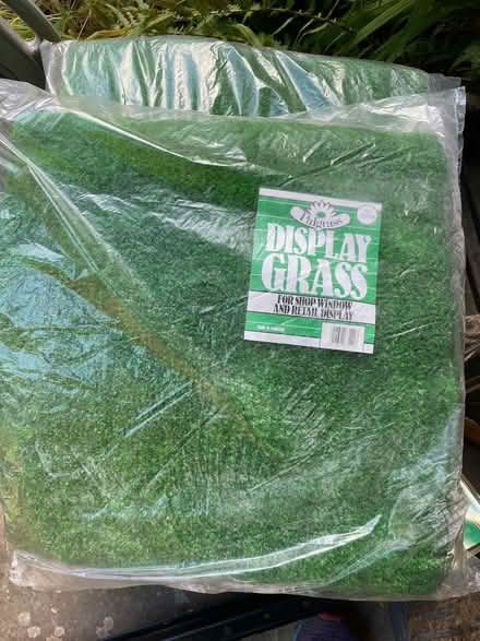 Photo of free 5 packs of 'grass' for craft projects (Hanover BN2) #1