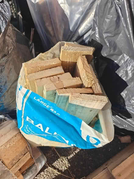 Photo of free Wood Bonanza! 🌳 (Arlesey - SG15) #4