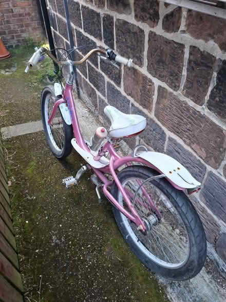 Photo of free Girls Bella fat tyre bicycle (L25 Woolton) #1