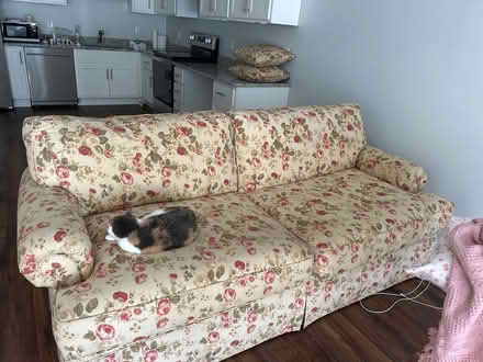 Photo of free Shabby rose couch not the cat (East haven ct) #1