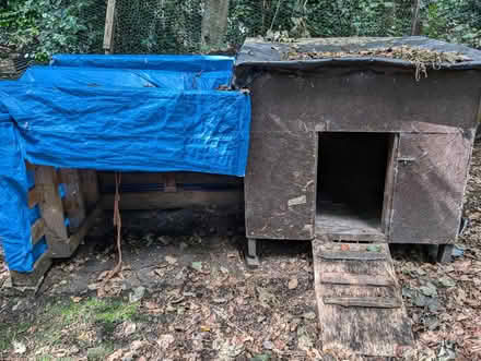 Photo of free Chicken/duck coop (Kirklees HD9) #1