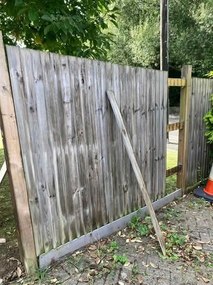Photo of free Dismantling shiplap fencing (leybourne) #1