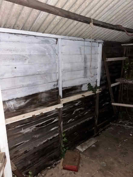 Photo of free Garden shed with windows (Chelsfield BR6) #2