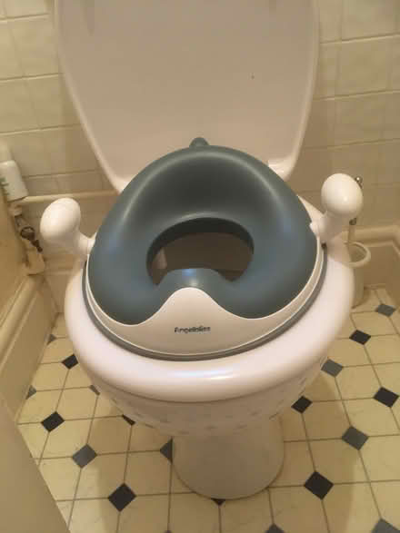 Photo of free Toddler's toilet seat (Caversham RG4) #2