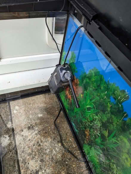 Photo of free Aquarium and supplies (Sompting BN15) #1