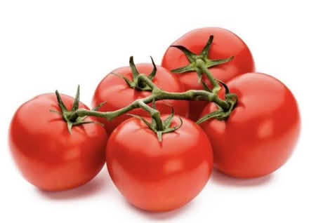 Photo of free Homegrown tomatoes (Upper Tysoe CV35) #1