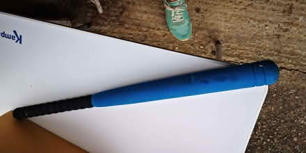 Photo of free Kids foam and plastic baseball / softwall bat (The Camp AL1) #1