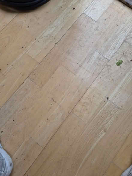 Photo of free Flooring (Blackheath, SE13) #1