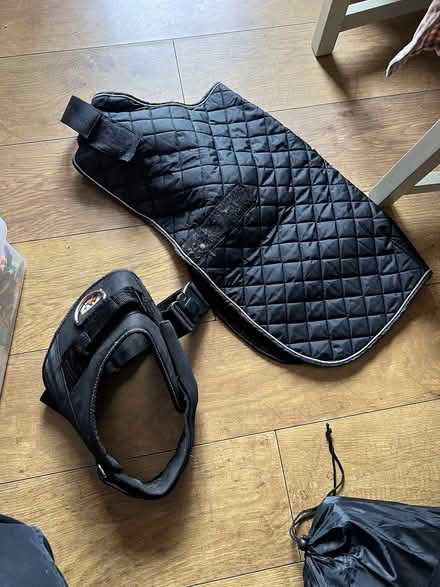 Photo of free Dog bits fit a 25 kg staffie (Gleedless (S12)) #1