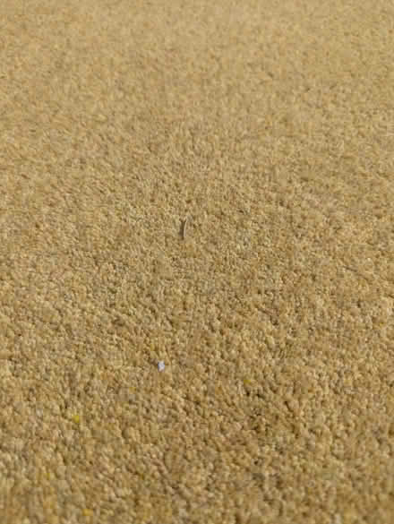 Photo of free Yellow wool carpet (Woodley RG5) #1