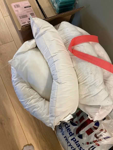 Photo of free 5 cushion inserts (Crosspool S10) #1