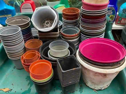 Photo of free Collection of plant pots (Trennick TR1) #1