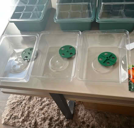 Photo of free Seedling trays + seeds (HA8 / Edgware) #3