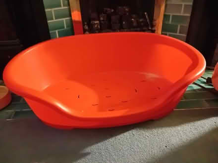 Photo of free Red dog basket (Sneinton NG2) #1