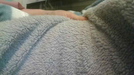 Photo of free 7 dog/cat winter blankets (BA2) #1