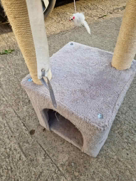 Photo of free Cat tree / scratch post (Heddington SN11) #4