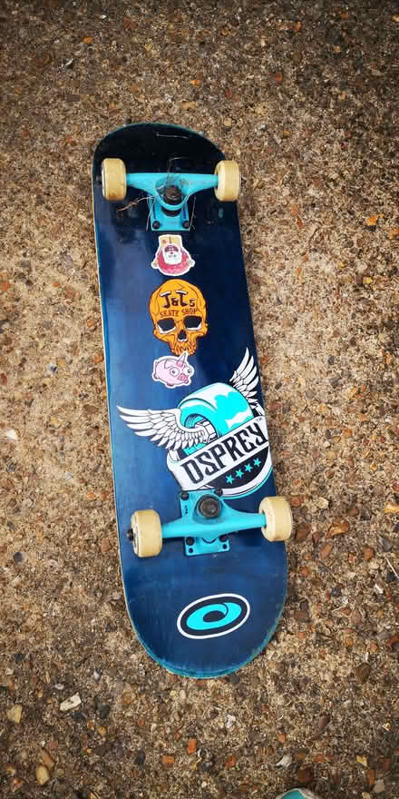 Photo of free Osprey Skateboard (The Camp AL1) #1