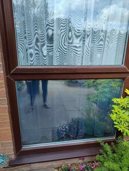 Photo of free Window daytime privacy film. (Walderslade Bottom ME5) #2