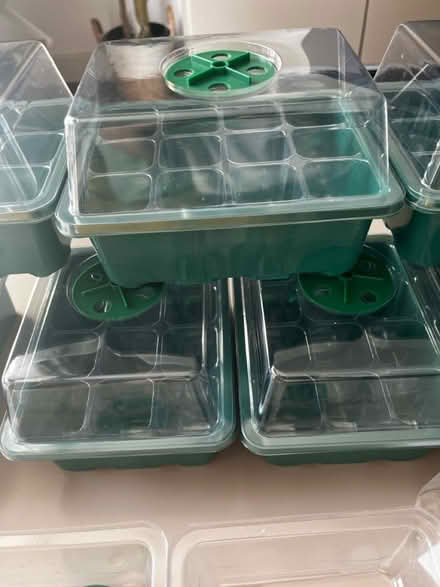 Photo of free Seedling trays + seeds (HA8 / Edgware) #2
