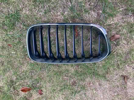 Photo of free BMW grill (Stoke Poges SL2) #1