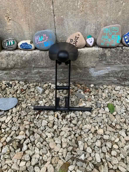 Photo of free Toddler bike seat (Bathwick ff) #1