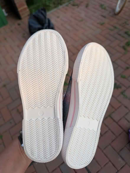 Photo of free Size 4 girls plimsoles (Broomgrove TN34) #2