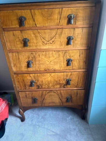 Photo of free Chest of drawers (S7 Netheredge) #1
