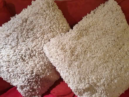 Photo of free Pair of Cushions (Arnold NG5) #1