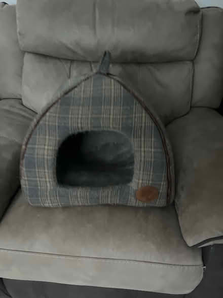 Photo of free Cat bed (Inkberrow) #1