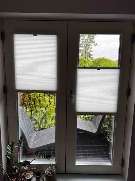 Photo of free Honeycomb Blinds - NEW (SE15 Peckham) #3