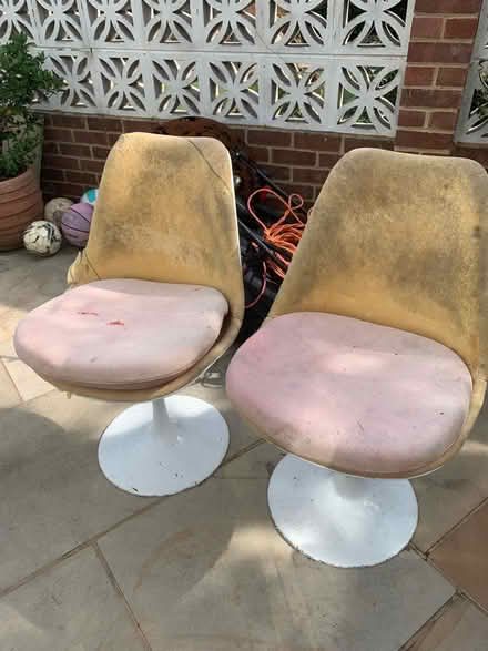 Photo of free 2 Tulip Swivel Chairs (Burgess Hill RH15) #1