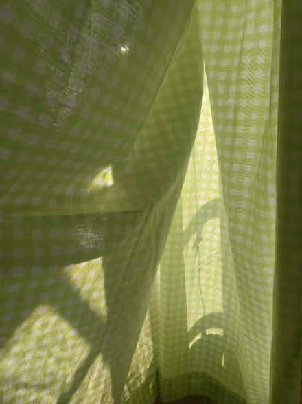 Photo of free Pair of green check curtains (Tudeley) #4