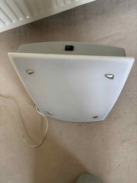 Photo of free SAD light (Bs15 4ub) #4