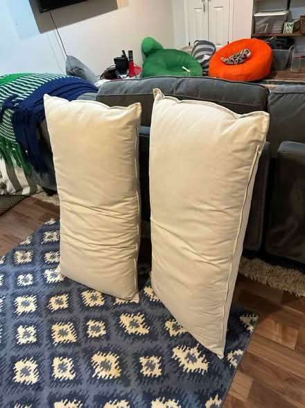 Photo of free Large cushions from IKEA couch (Silver Spring / Park Hills) #1
