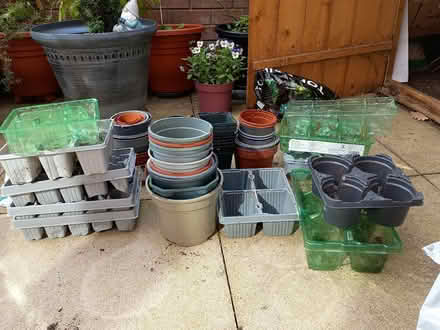 Photo of free Plastic plant pots and trays (Cherry Tree BB2) #1