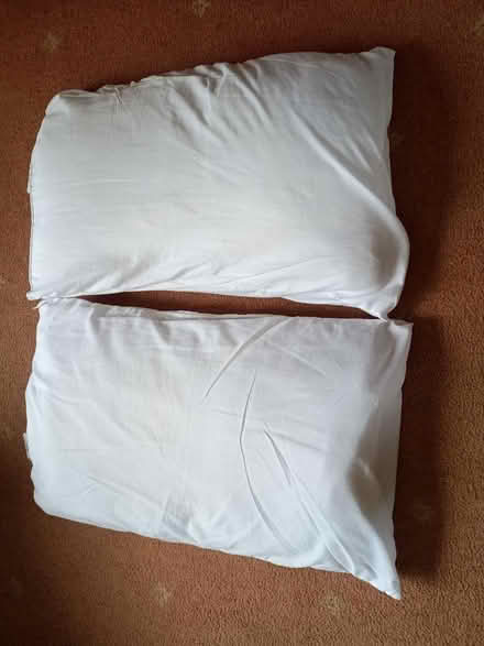 Photo of free Pillows (2 off) (Bilton CV22) #1