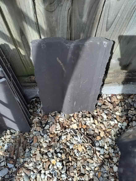 Photo of free Roof tiles (Harlescott, SY1) #4