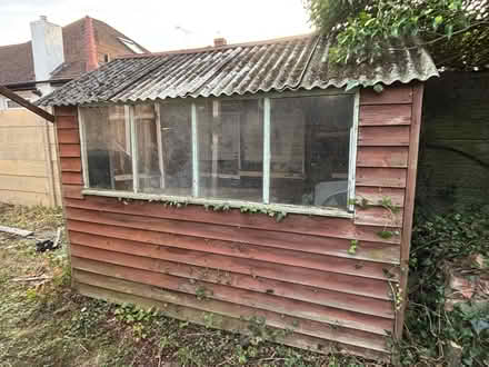 Photo of free Garden shed with windows (Chelsfield BR6) #4