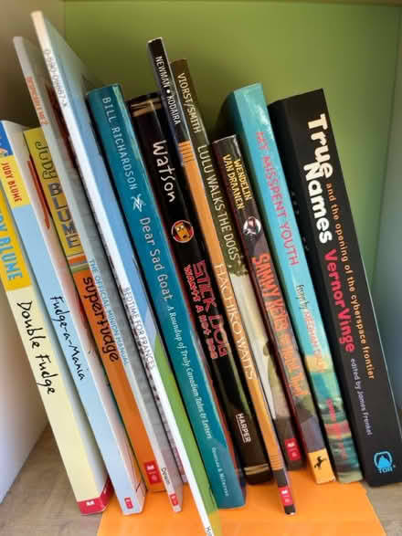 Photo of free Assorted items and books (Sunny arts area) #2