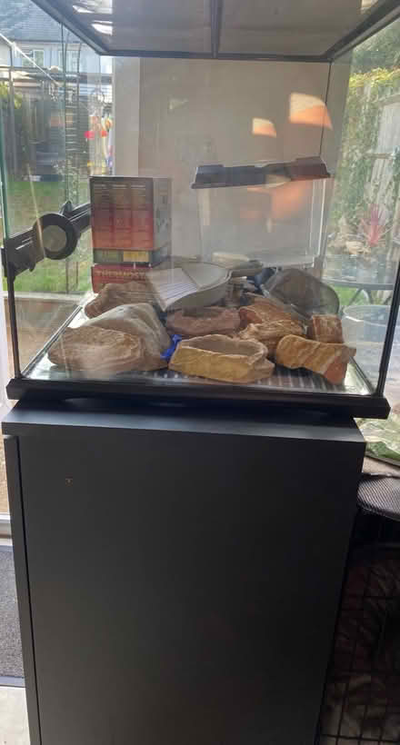 Photo of free Gekko starter kit with vivarium (Coxford SO16) #4