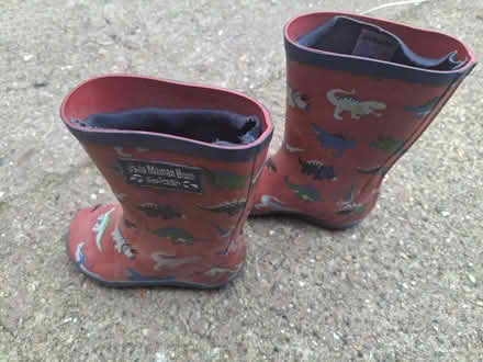 Photo of free Children's wellies size 6 (Watton at Stone SG14) #1