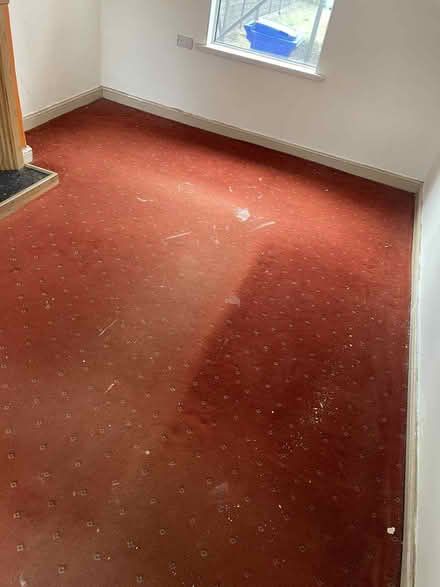 Photo of free Carpet and underlay (Wisewood S6) #1