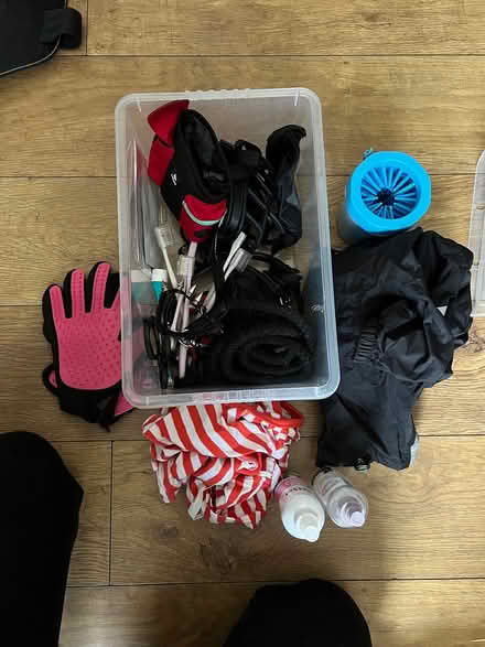 Photo of free Dog bits fit a 25 kg staffie (Gleedless (S12)) #2