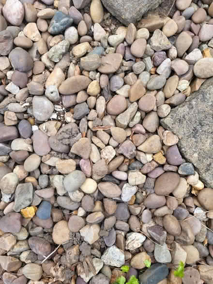 Photo of free Decorative stones for garden (Chilwell, NG9) #2