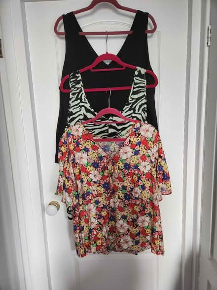 Photo of free Summer tops (Liversedge, West Yorkshire) #2