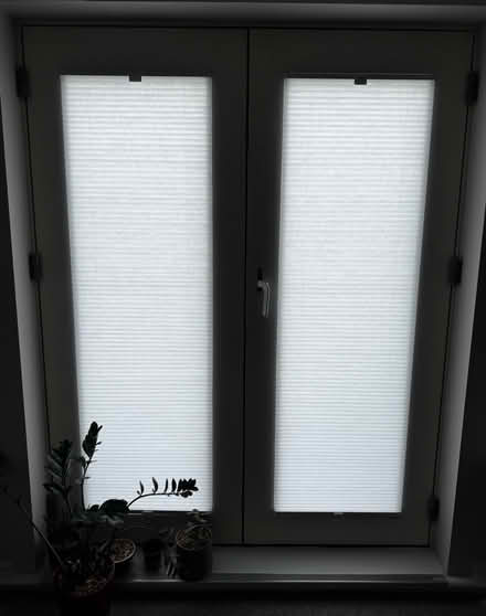 Photo of free Honeycomb Blinds - NEW (SE15 Peckham) #1